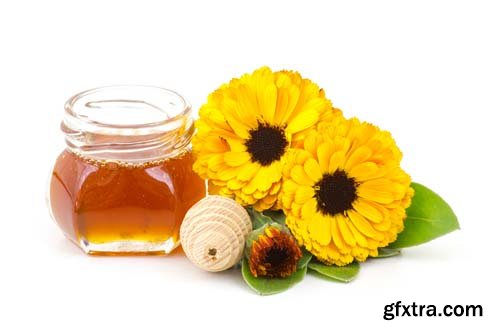 Honey And Calendula Flowers Isolated - 15xJPGs