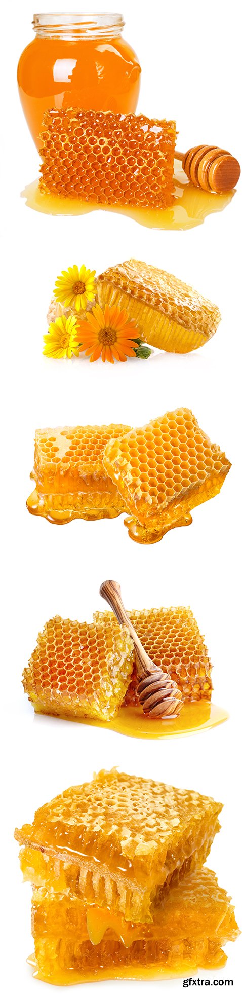 Honeycomb Isolated - 25xJPGs