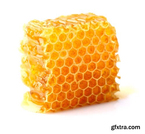 Honeycomb Isolated - 25xJPGs