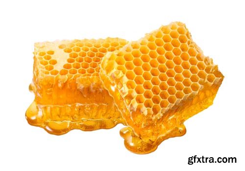 Honeycomb Isolated - 25xJPGs