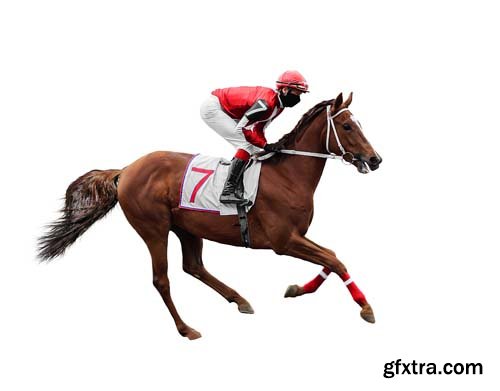 Horse Racing Jockey Isolated - 15xJPGs