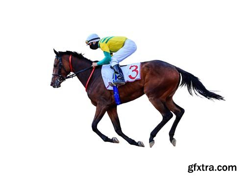 Horse Racing Jockey Isolated - 15xJPGs