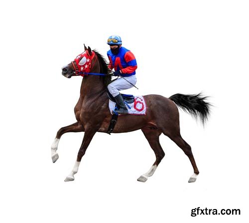 Horse Racing Jockey Isolated - 15xJPGs