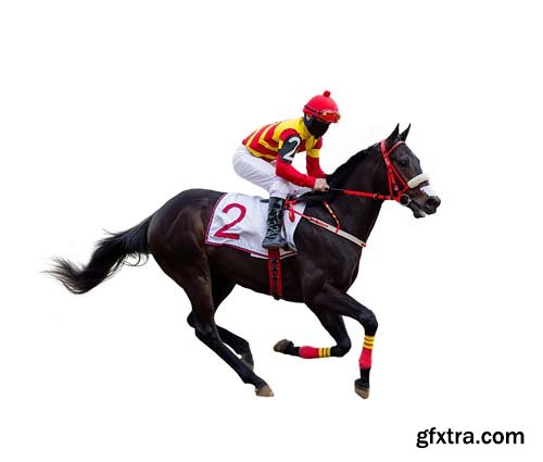 Horse Racing Jockey Isolated - 15xJPGs