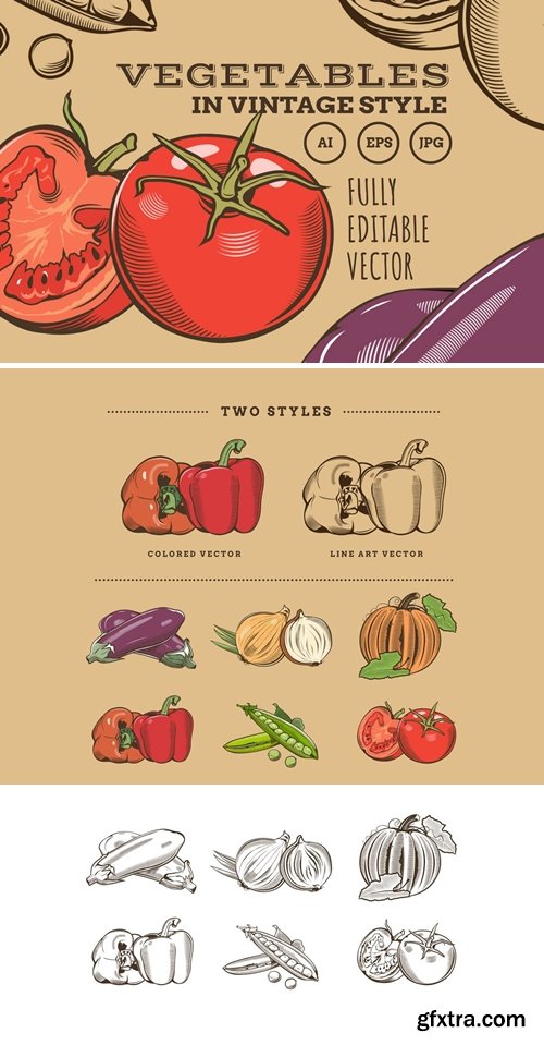 Vegetables in Vintage Style