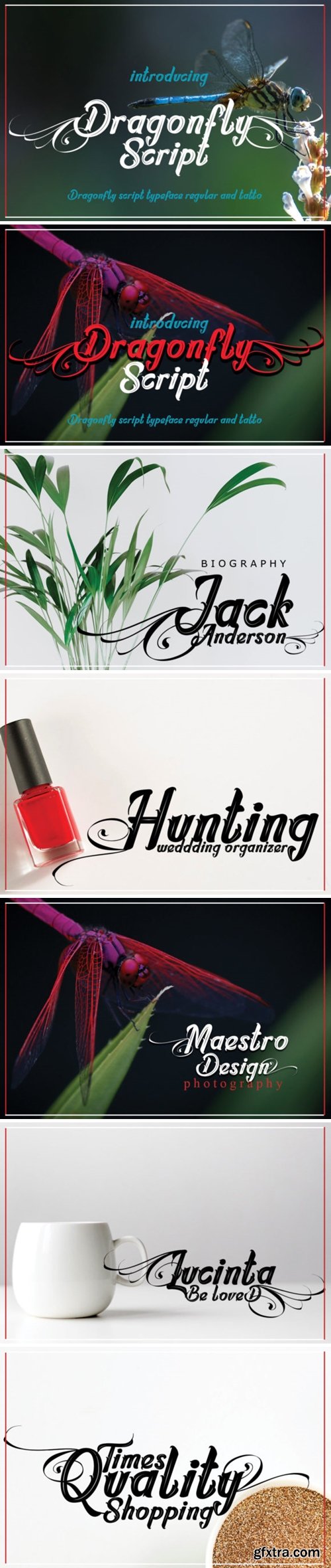 Dragonfly Script Font