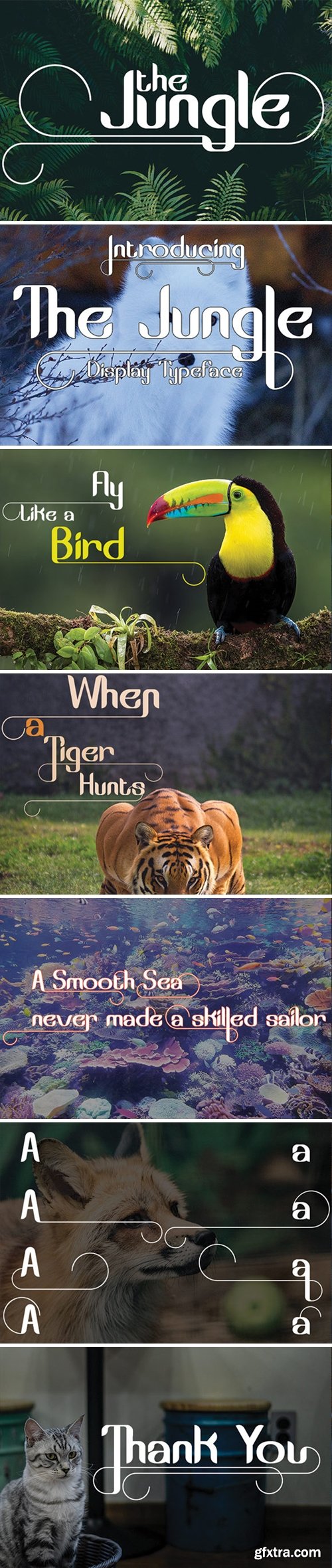 The Jungle Font