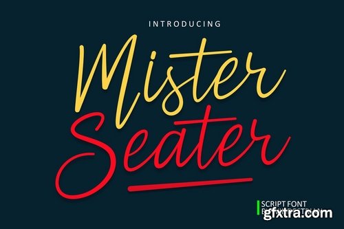 CM - Mister Seater  Script Font 3846037