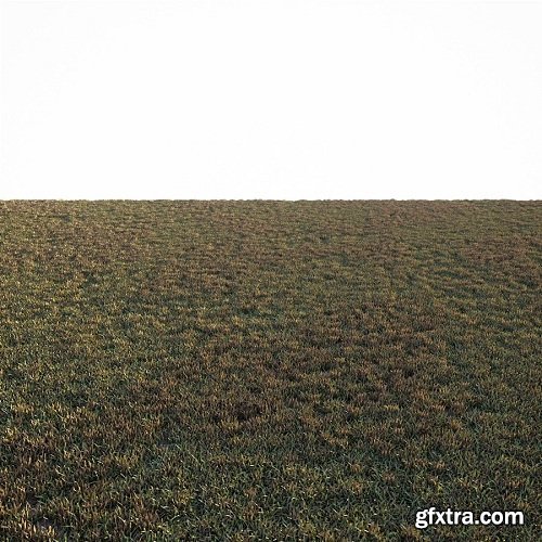 Simple Grass 3d Model