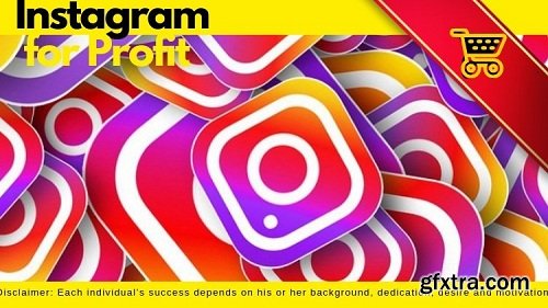 Instagram for Profit - Step by Step Mastery Course (2019)