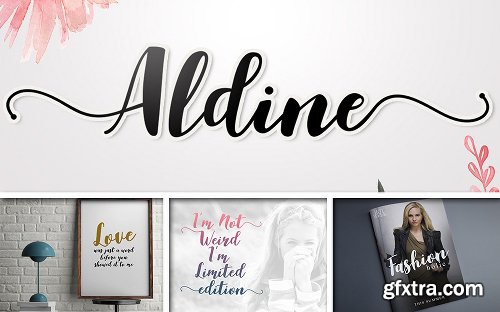 InkyDeals The Delight Fonts Bundle