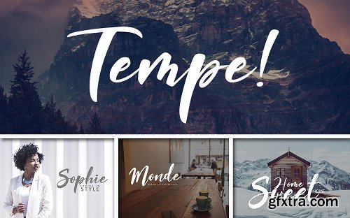 InkyDeals The Delight Fonts Bundle