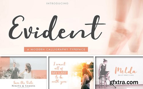 InkyDeals The Delight Fonts Bundle