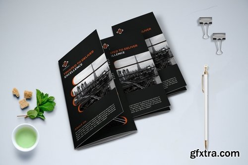 Trifold Brochure