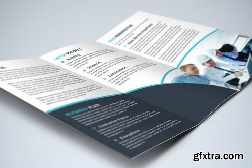 Trifold Business Brochure