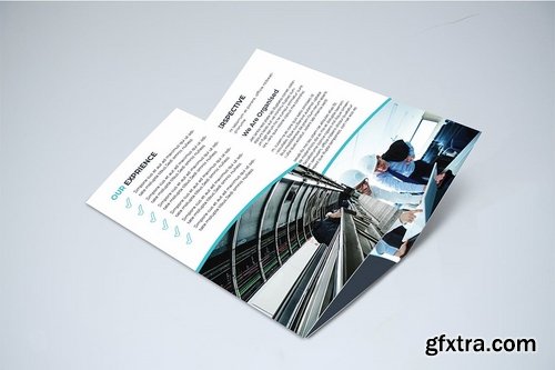 Trifold Business Brochure