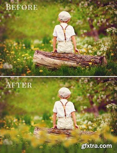 Spring Photo Overlay Bundle: Bunnies, Magnolia, Butterflies, Lilacs, trees + more!