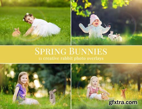 Spring Photo Overlay Bundle: Bunnies, Magnolia, Butterflies, Lilacs, trees + more!