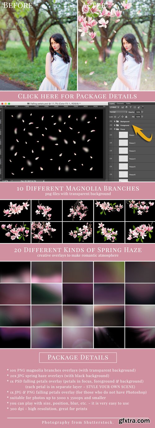 Spring Photo Overlay Bundle: Bunnies, Magnolia, Butterflies, Lilacs, trees + more!