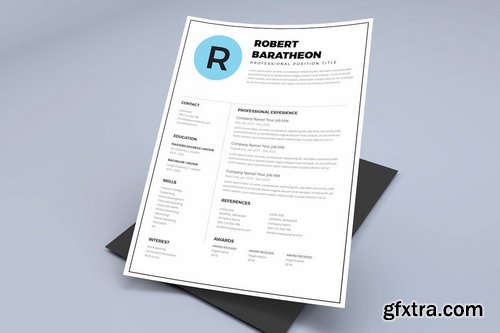 Resume CV Template Pro