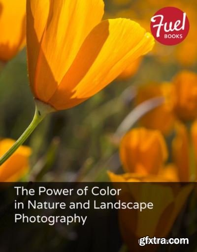 The Power of Color in Nature and Landscape Photography