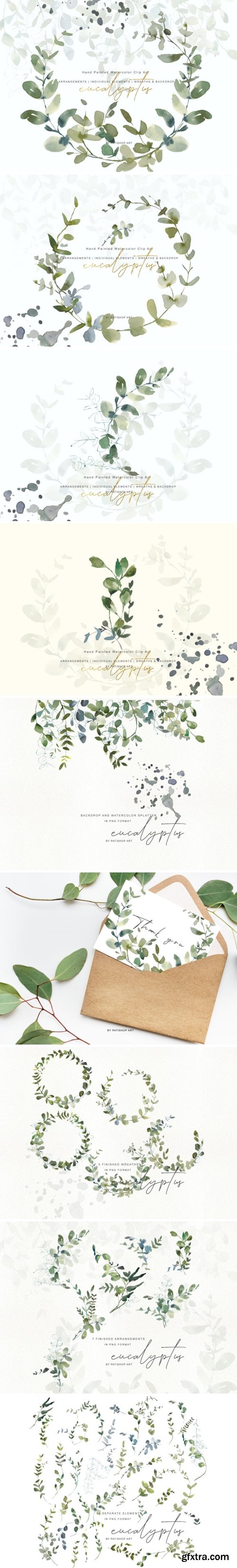 Watercolor Eucalyptus Clipart Collection 1505797