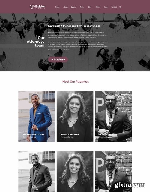 Erdster Law Firm and Advocacy Design Template