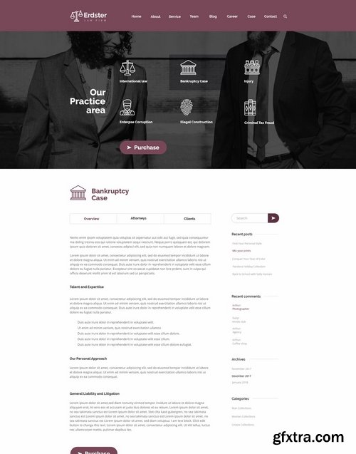 Erdster Law Firm and Advocacy Design Template