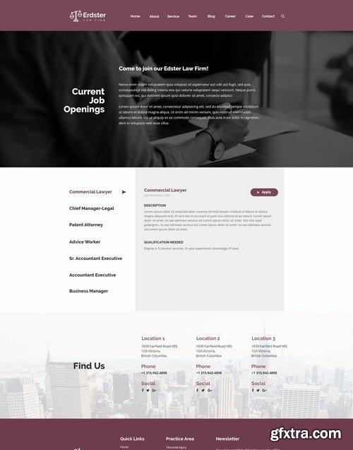 Erdster Law Firm and Advocacy Design Template