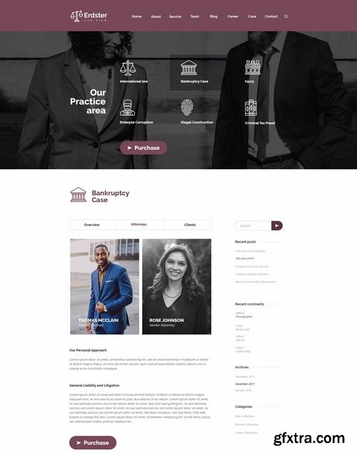 Erdster Law Firm and Advocacy Design Template