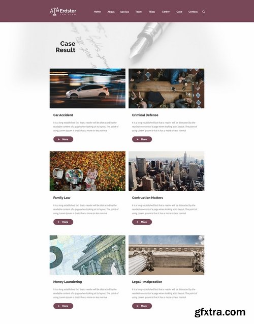 Erdster Law Firm and Advocacy Design Template