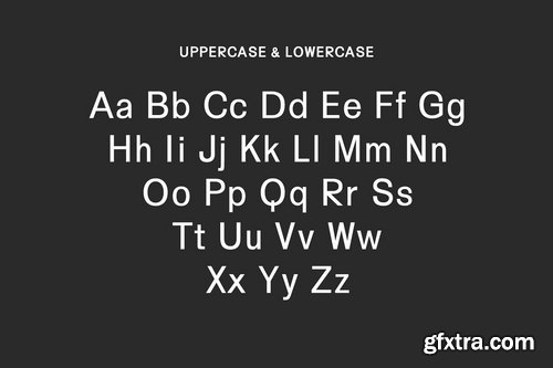 CM - Yarelli Sans Serif Font Family 3872003