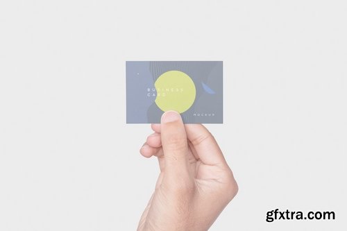 Business Card Mockups