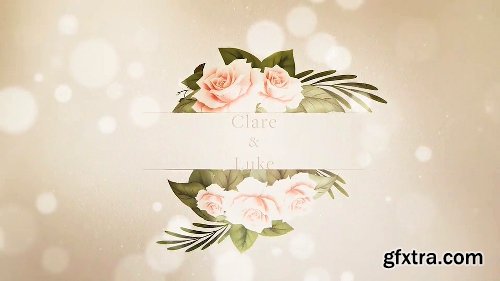 Videohive Wedding 21411390