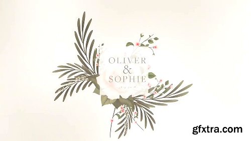 Videohive Wedding 21411390