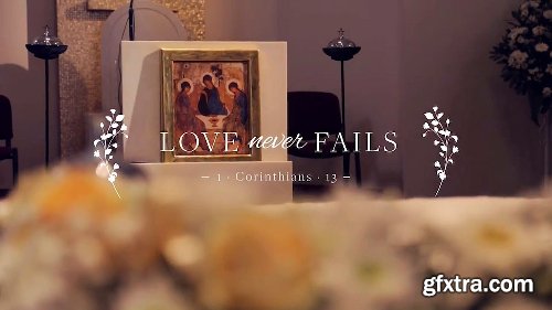 Videohive Wedding 21411390