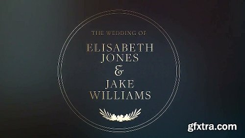 Videohive Wedding 21411390