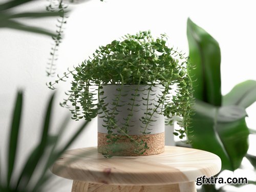 Cgtrader - Stool and Pots with Plants 3D model