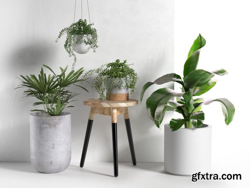 Cgtrader - Stool and Pots with Plants 3D model