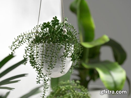 Cgtrader - Stool and Pots with Plants 3D model