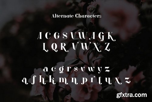 ARK Reunio Font Family