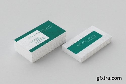 Artist Designer - Business Card