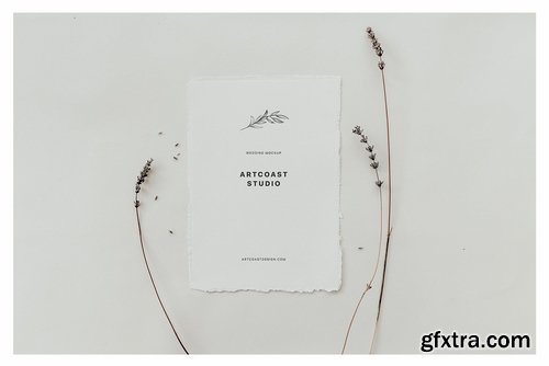 Birdsong Cards & Envelopes Mockup