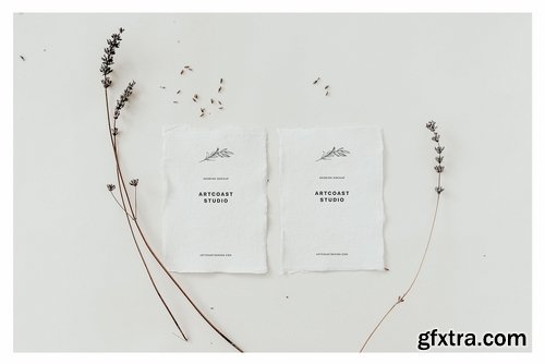 Birdsong Cards & Envelopes Mockup