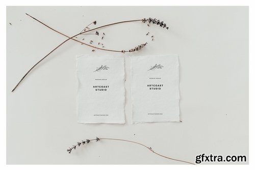 Birdsong Cards & Envelopes Mockup