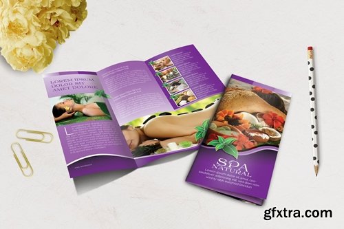 Spa Natural Brochure Trifold Vol.1