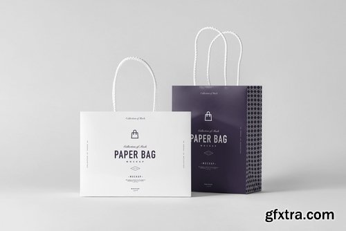 Paper Bag Mock-up 2