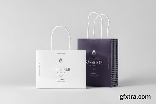 Paper Bag Mock-up 2