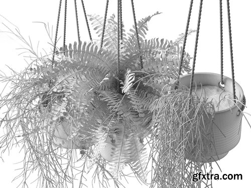 Cgtrader - Hanging Pots with Plants 3D model