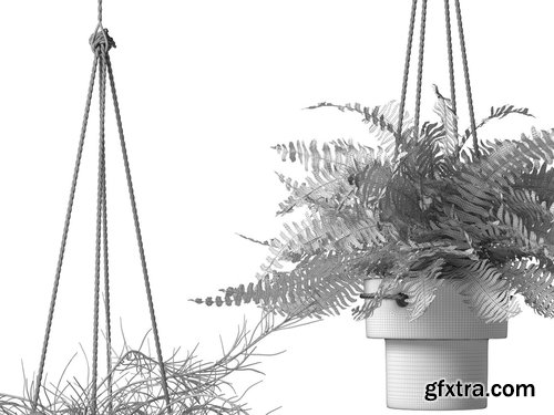 Cgtrader - Hanging Pots with Plants 3D model